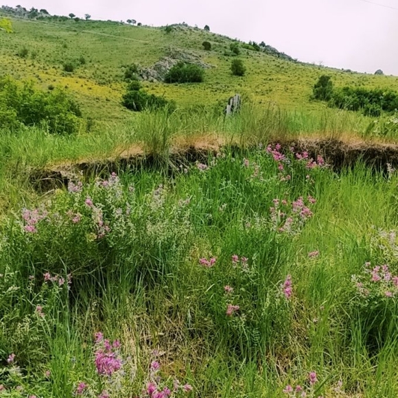 𝗠𝗮𝗿𝗺𝗼𝘁 Fleece Jacket - Picture 6 of 7